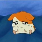 [댓글부탁해] 나도진심으로개이뻐지고싶다진짜