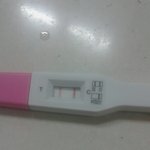 ㅋㅋㅌㅋㅋㅋㅋㅋ대받 나임신햇어