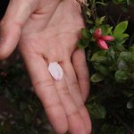 [태용] 태용이가 찍은 사진작품!!!