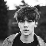 [EXO] 심즈  <b>왕가</b>의혈통
