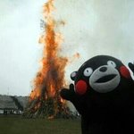 [EXO] 나 장1수1상1회보고왔는데