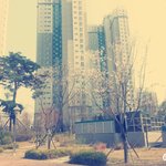 [EXO] 우리아파트 벚꽃
