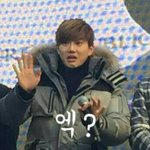 [EXO] 지금 벚103<b>꽃</b> <b>축제</b> 왔는데