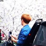 [EXO] 얘들아 이거 아는사람?