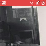 [EXO] 뒤에 <b>상자</b>들아님?
