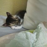 [mori] <b>모리</b>성장과정1