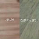 [EXO] 세훈인별 저기 숙소 아닌 듯