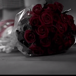 [모든팬덤] 혼자만 알기 아까운 노래가사 자랑해봐