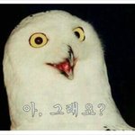 [댓글부탁] 수학여행갈때 <b>수건</b> 뭐 가져가?