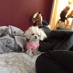 [찌찌] 부산개린이 찌찌  , 아들자랑하러 왔어<b>융</b>