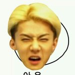 [EXO] 아니 이런얘기 할때마다 답정너 존나 나온다니까