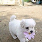 [EXO] 난자기<b>비하</b>하는애들이제일한심하더라ㅋㅋㅋㅋㄱㅋ