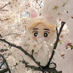 [EXO] 나는 솟2 지금 까이고 성형하고 그래도