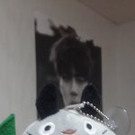 [EXO] <b>토토</b>루 귀엽지?ㅋㅋㅋ