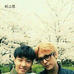 <b>벚꽃놀이</b> 인증한 스타들