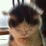 [EXO] 너네 오늘 점심메뉴는 이거겠지?