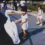 [EXO] 유툽 조작안돼 <b>오토</b>줌들아 ㅅㅂ