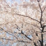 [가창력] 노래진짜 개못하는 아이돌들 모음