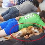 오늘의 뉘우스) <b>자수</b>하는 마약견과 경찰도 감금하는 간 큰 속초목사님