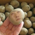 [팬픽] 자아<b>성찰</b>) 나는 왜 미자인가