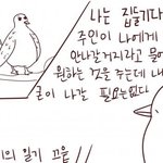 [EXO] <b>집</b>둘기ㅋㅋ이해가 <b>한</b>방에 된다ㅋㅋ