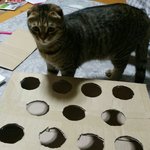 빵꼬네