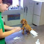 병원은 <b>질색</b>인 귀여운 동물들