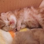 꿈나라 <b>순항</b>중~  심쿵주의