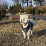 [교감] [엄마미소주의] 희망이 소개합니당~^0^