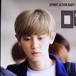 [EXO] 아이폰 쓰는 사람 있냐
