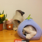 우리는 엄마의 사랑을 나눠먹는사이 (<b>with</b> 하늘다람쥐 두루뭉실이)