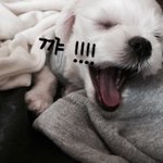 [찌찌] 댓글과추천감사합니다 ~