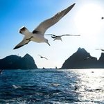 [댓글부탁해] <b>독도</b>우리땅맞지?