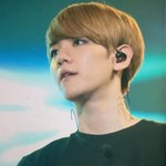 [백현] 제주 케팝콘 <b>남</b>좌미  백현<b>T</b>.T