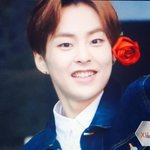 [시우민] <b>장미</b>요정 시우민을 탄생시킨 팬 분 ㅇㅇ