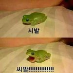 [드루와] 자기가 못생겼다고 <b>확신</b>하는사람~
