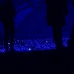 [위너] 애들 시점에서 <b>본</b> 인서들 <b>모습</b>