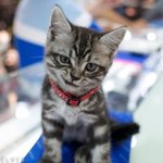 [EXO] 갓<b>도라</b>도 음방서 안 한 이유txt