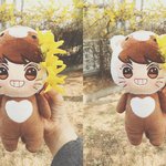 [EXO] 인형 둘중에 뭐가 더 귀여워?
