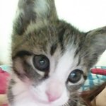 <b>모리</b>성장과정2