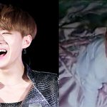 [EXO] 시우민어그로년 저렇게 발작하는<b>거첨봄</b> ㅋ