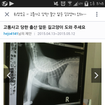 [EXO] 얘들아 이거한번만꼭해줘..