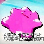 [댓글부탁해] 공부 자극 <b>사진</b>이나 <b>말</b>좀 해줘ㅠㅠ
