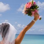 [콜로라도] 세계속 결혼식의 민폐甲들...