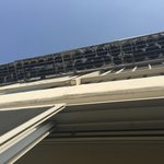 윗층에서 화분 수십개를 밖에 내놨어요