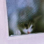 [쁘니단비] 쁘니 <b>단비</b>는 호기심쟁이~!!!