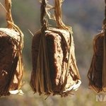 [EXO] <b>메주</b> 사진
