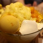 [요리] [세계음식] 여행 중 먹었던 음식들