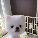[<b>교감</b>] (추가)이름이흔한 뭉치이지만 저에겐 하나뿐인