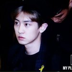 [EXO] 애들 오늘 노란리본담
